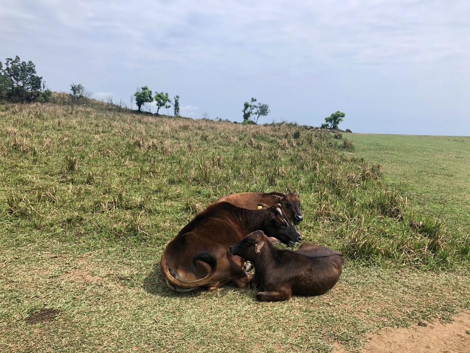 B70679ED-F56E-4E59-92AE-7210004AF0D3