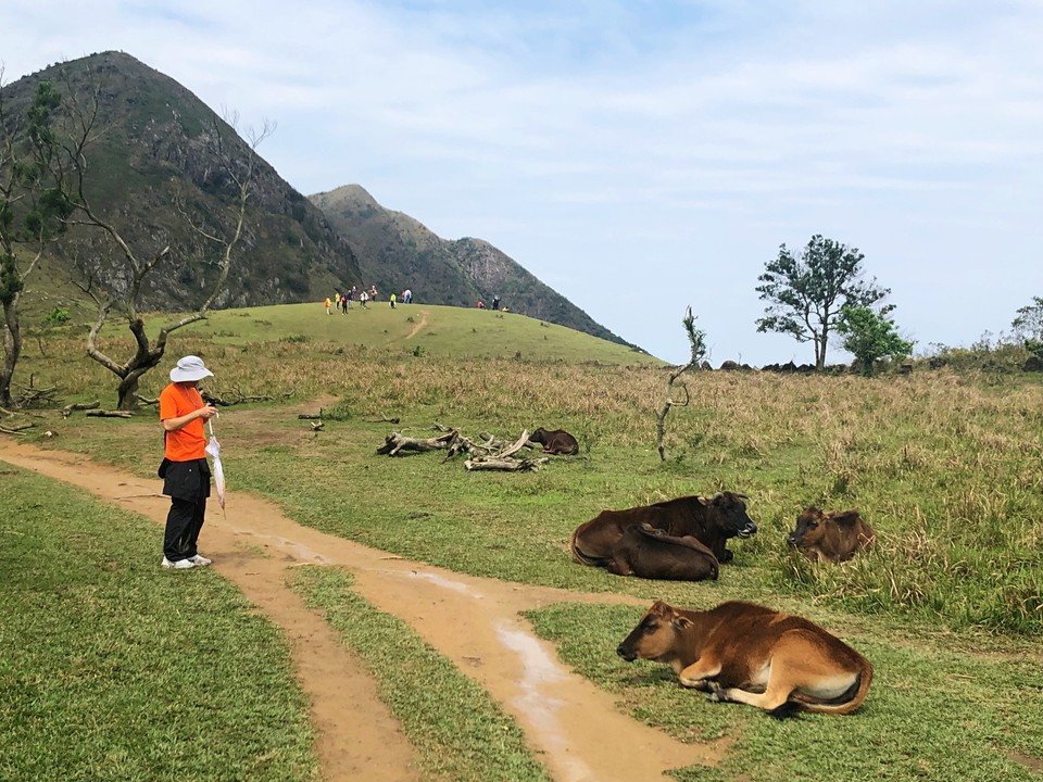 0D8C8D39-DEC3-48A5-9644-1A6EEBD226B5