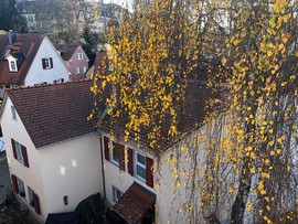 17CDE6A7-60F4-46CA-AD8D-A120855ADE3D