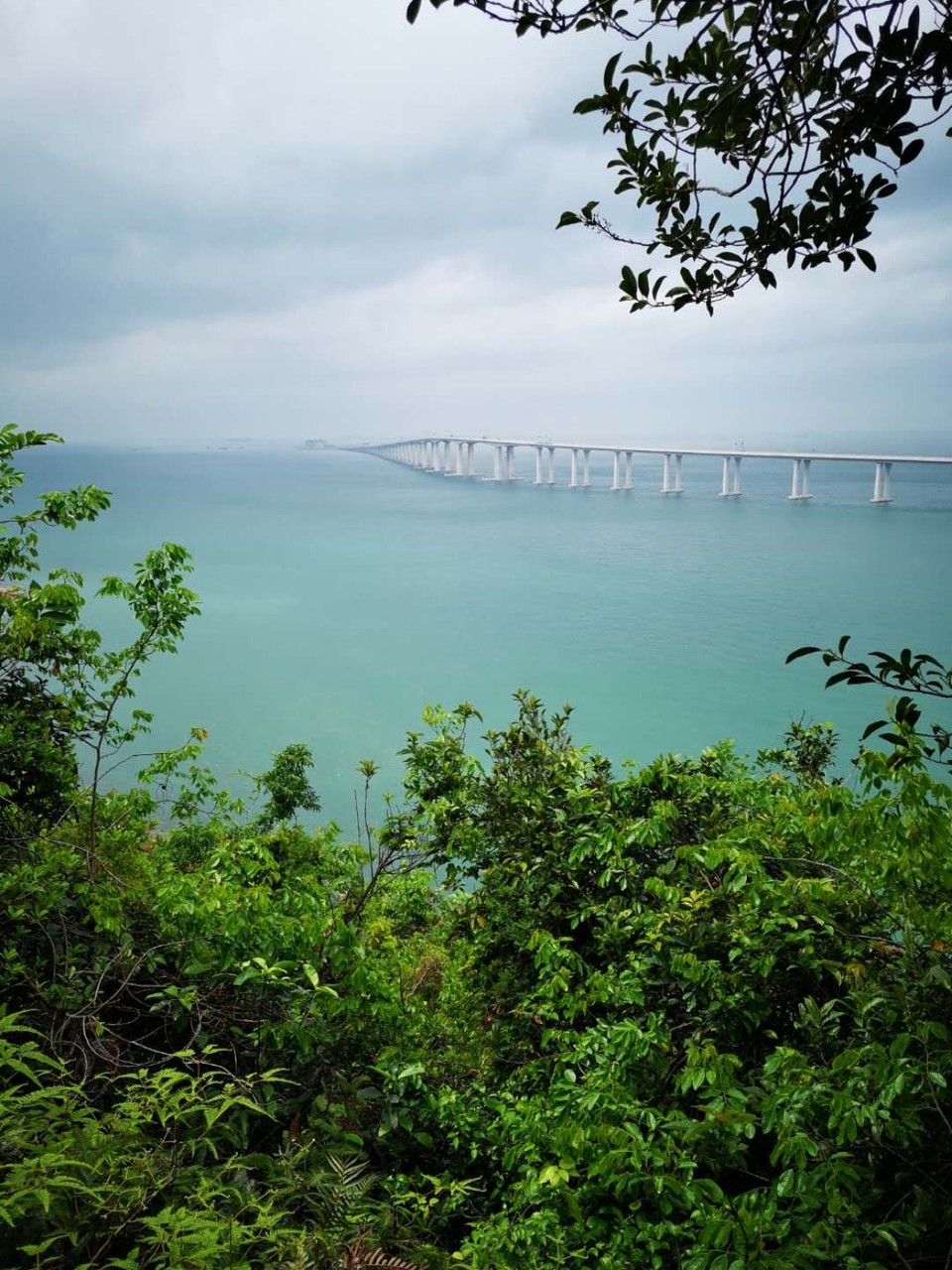 6F13BA362EF4C04B911C7C62CBE439E9