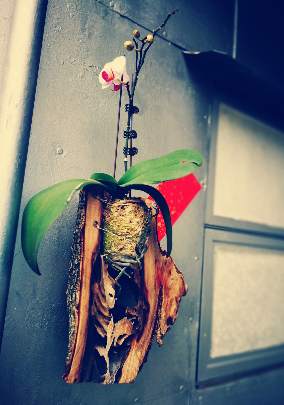 07F37F71998728C3C4305F9F74B0180E