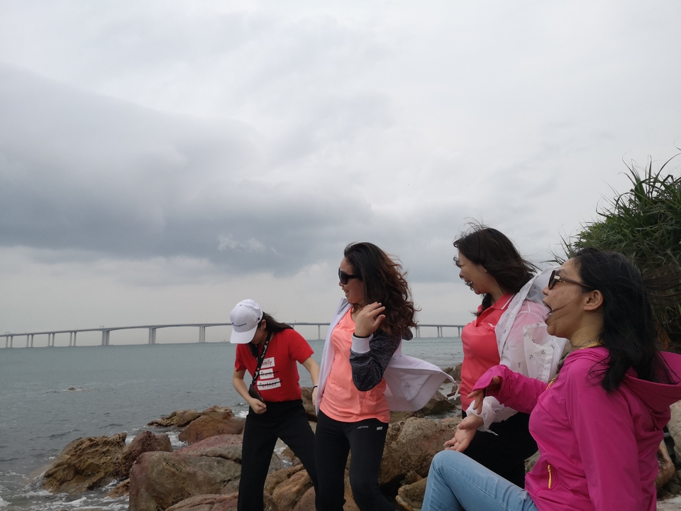 31E52186F7DC69E1B775AA8AAAF43177