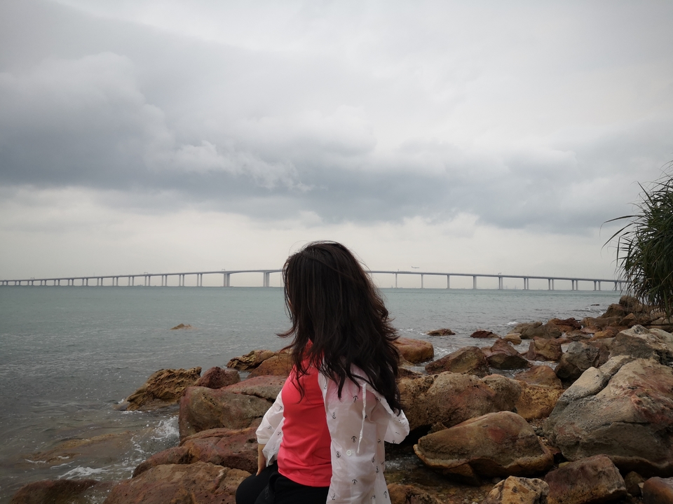 37D09172F1C8FD12079EF2F08D2905BF