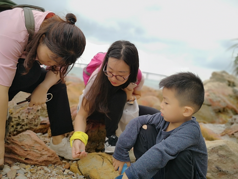 CF0EB6F096C932377094BF08A0E4412E