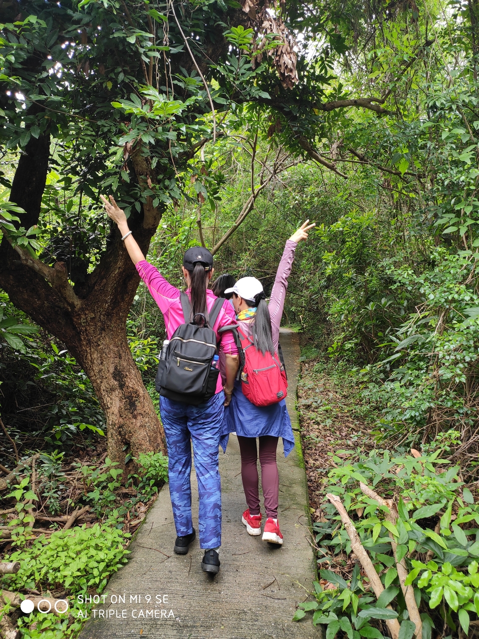 IMG_20190420_111946_1