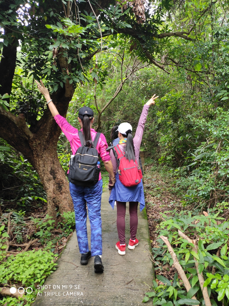 IMG_20190420_111947_1