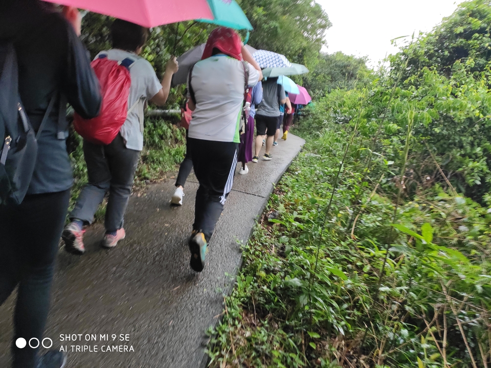 mmexport1555776489261