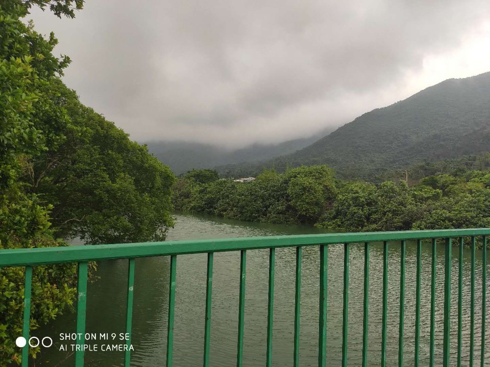 mmexport1555776518016