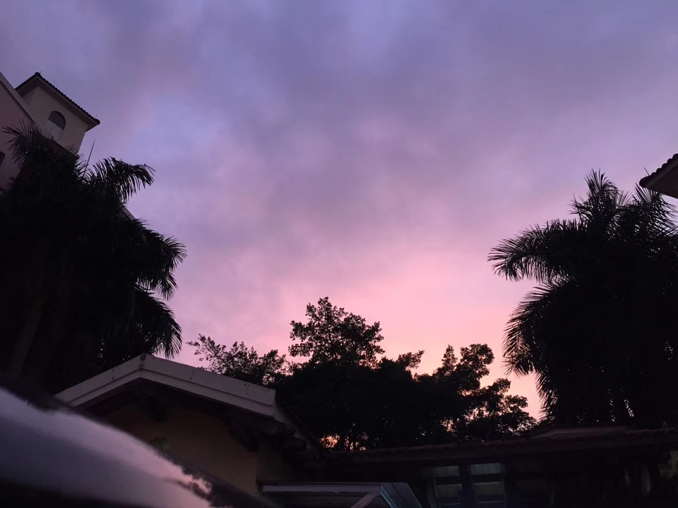 mmexport1555809865135