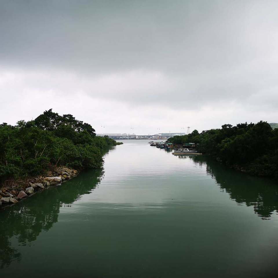 mmexport1555810485978