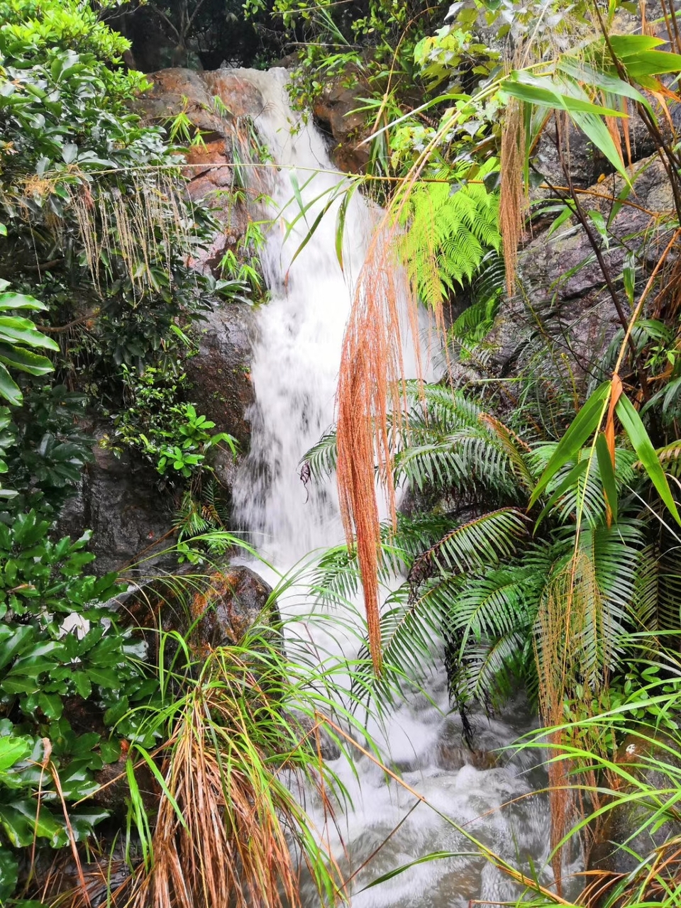 mmexport1555810750759