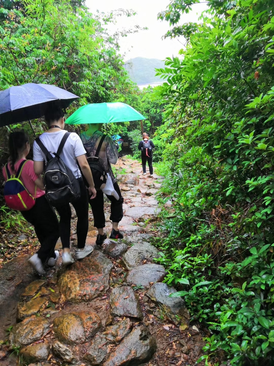 mmexport1555810767355