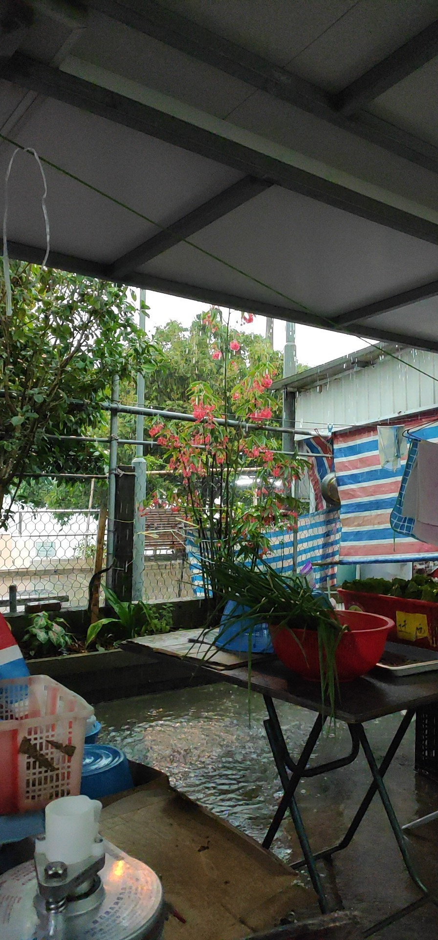 wx_camera_1555741034413