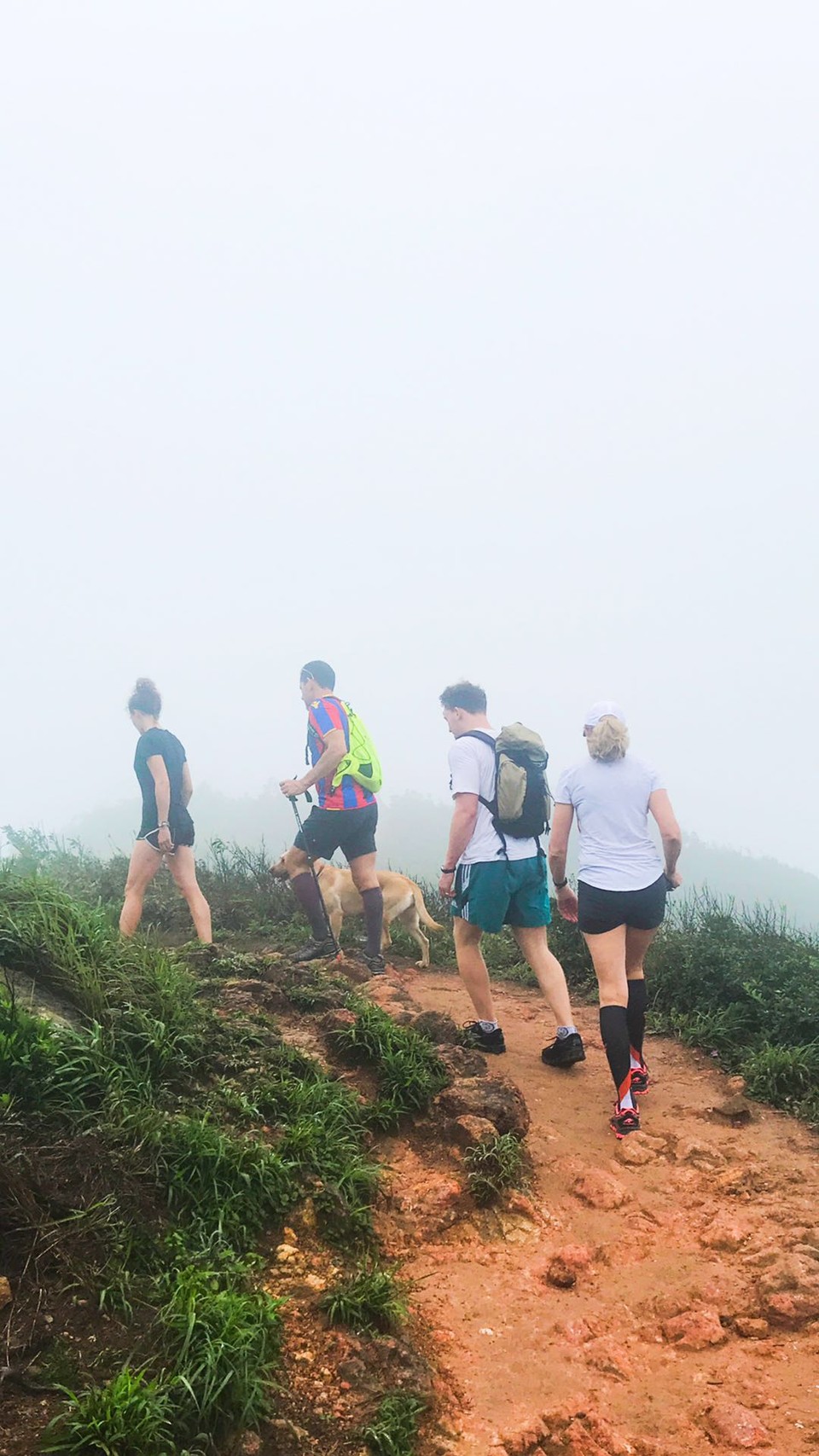 微信图片_20190422144738