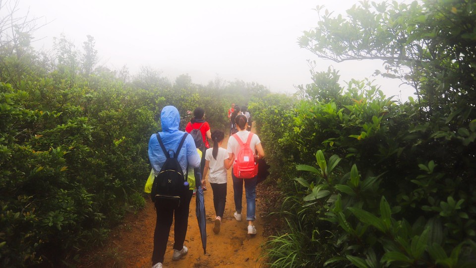 微信图片_20190422144937