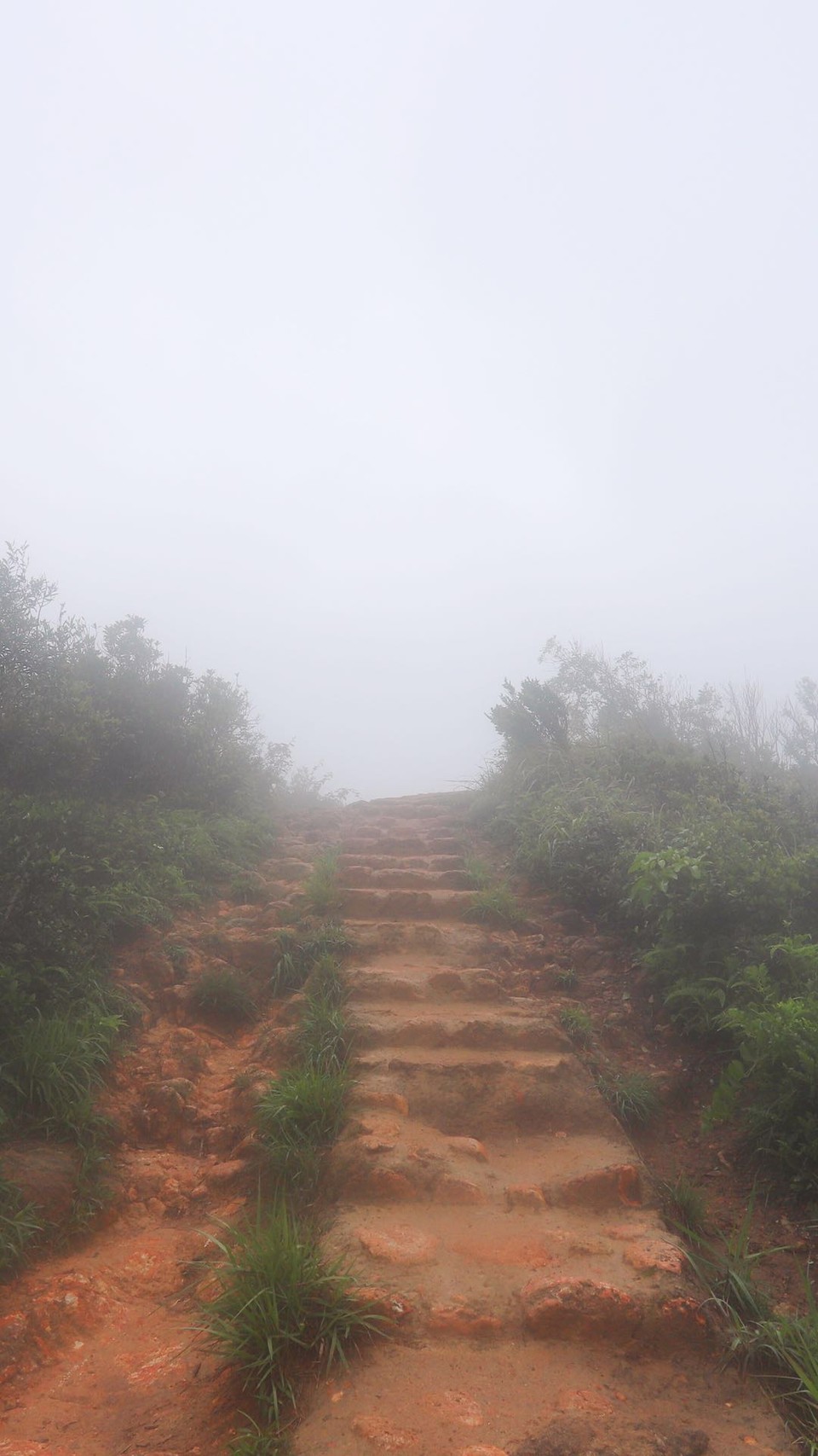 微信图片_20190422144945