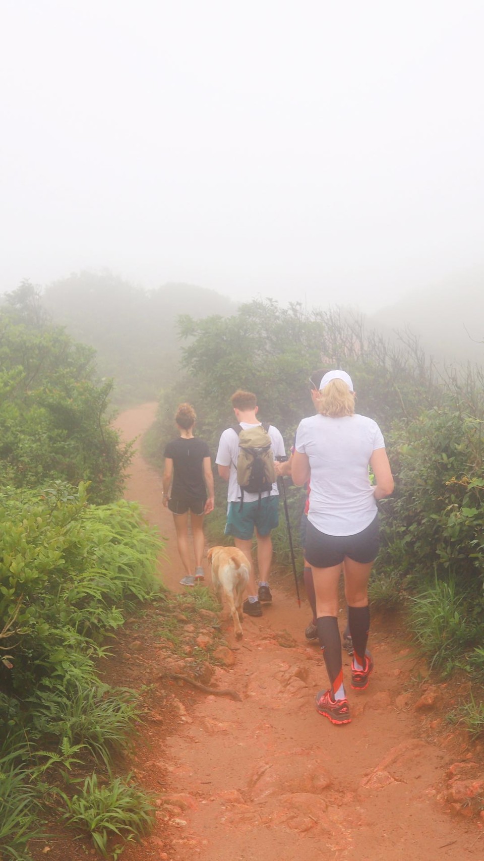 微信图片_20190422144949