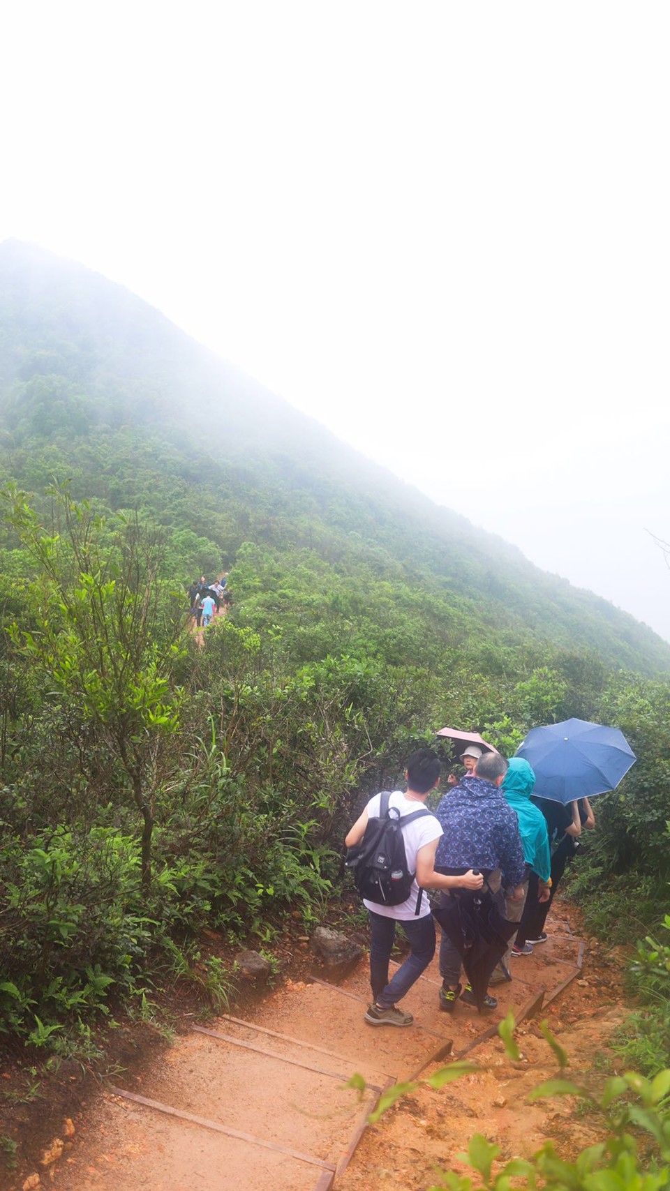 微信图片_20190422145003