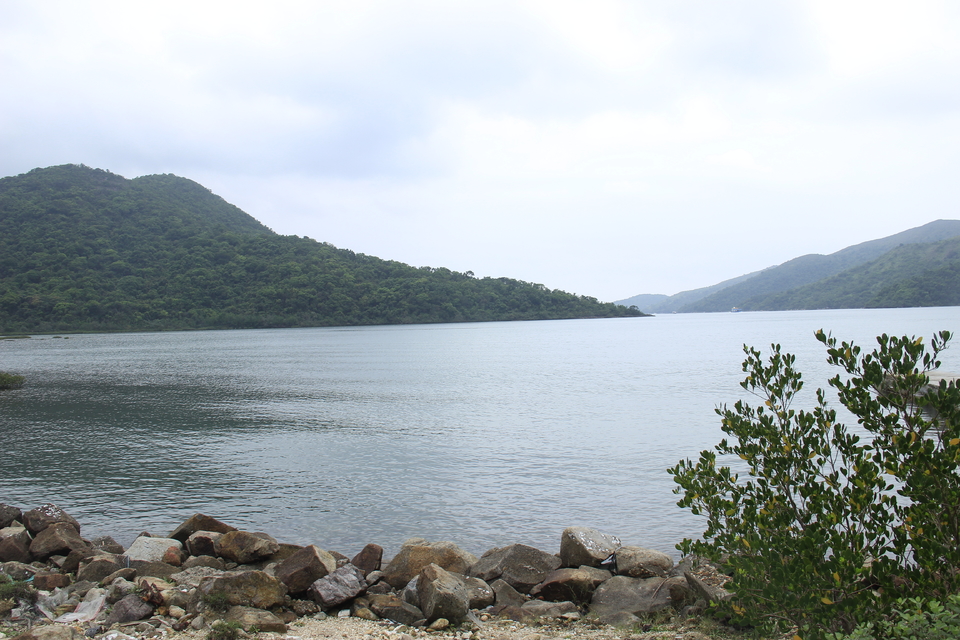 mmexport1556374613439