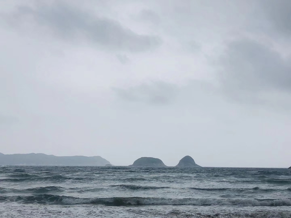 mmexport1556375220394