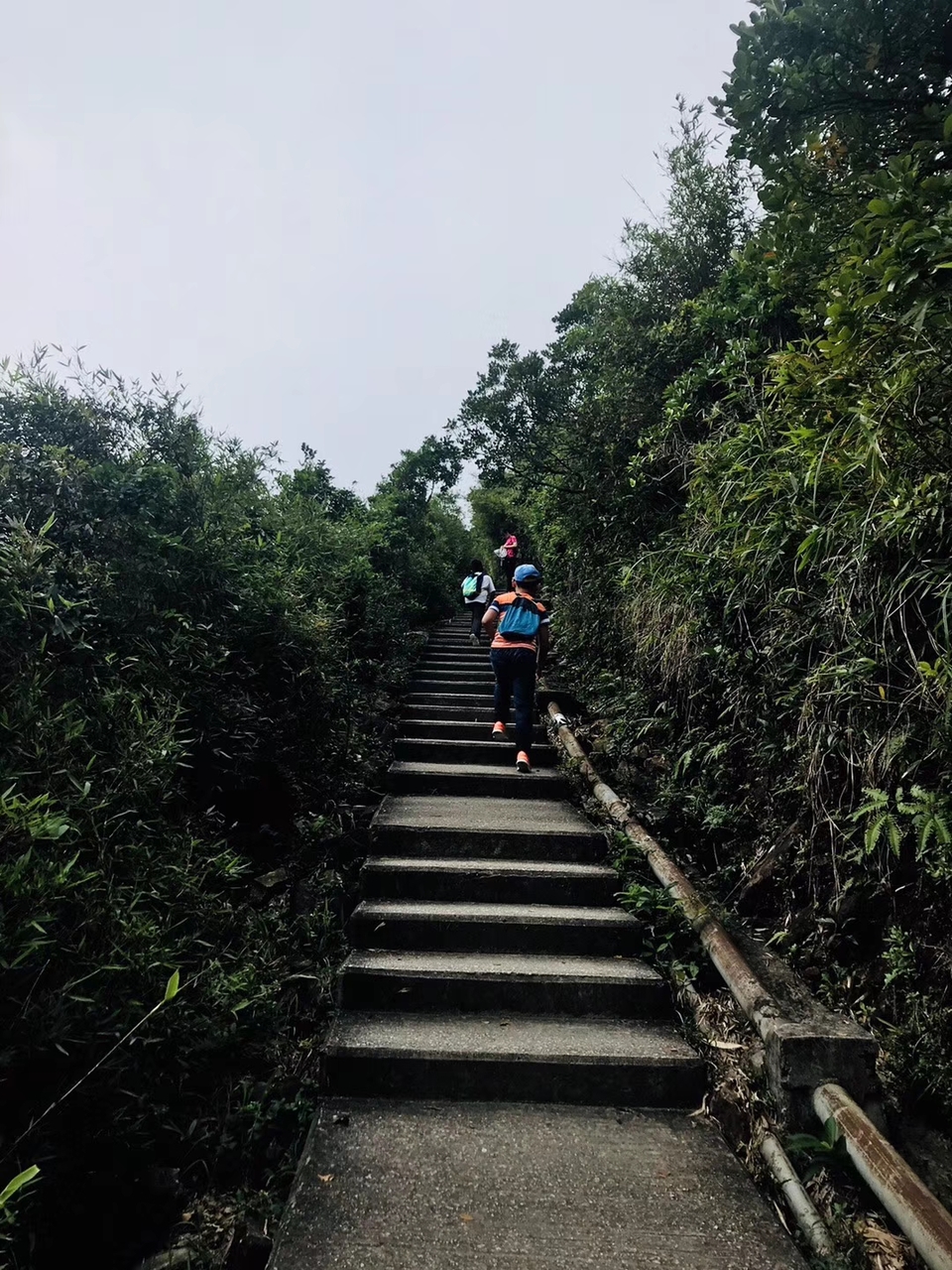 mmexport1556375355200