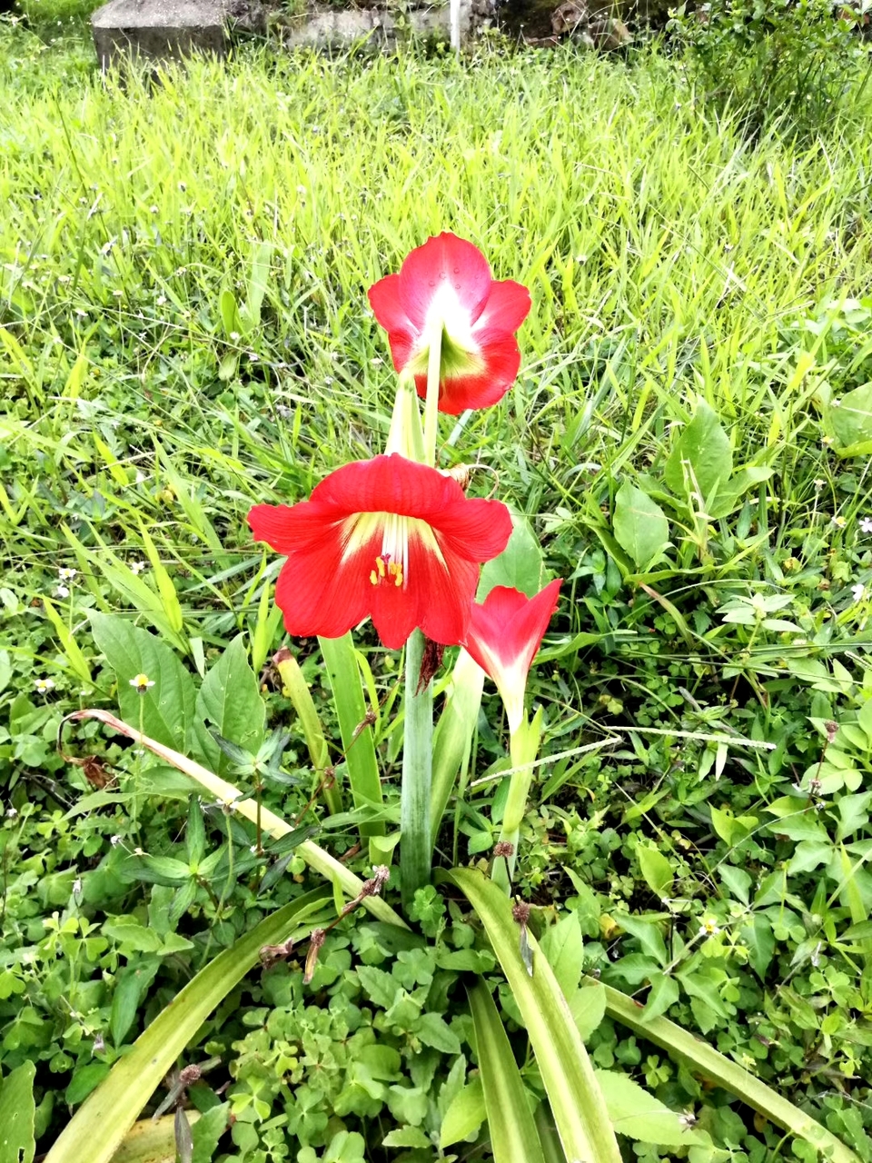 mmexport1556861580461