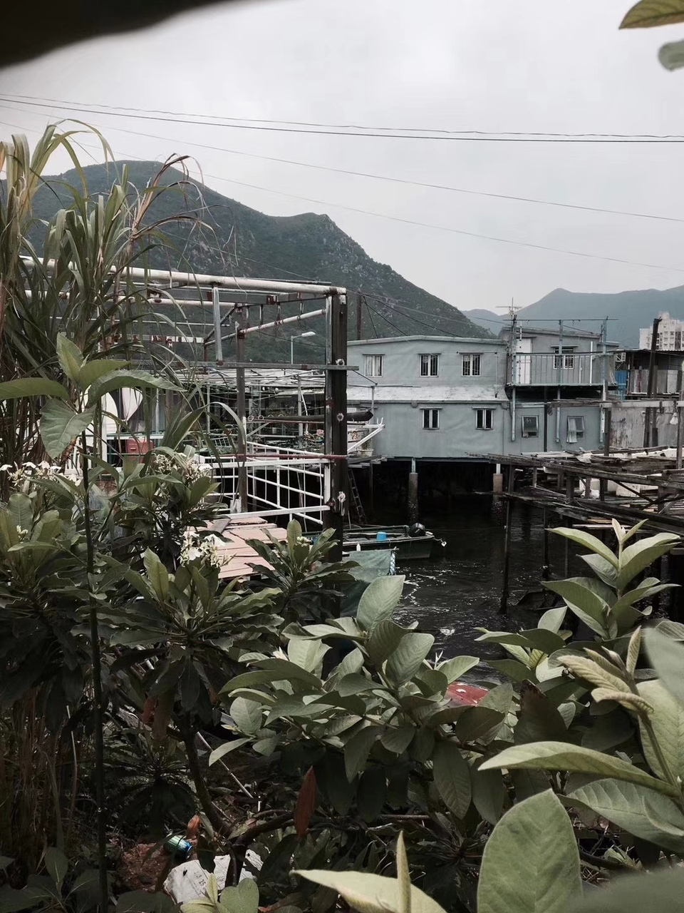 mmexport1556886227573