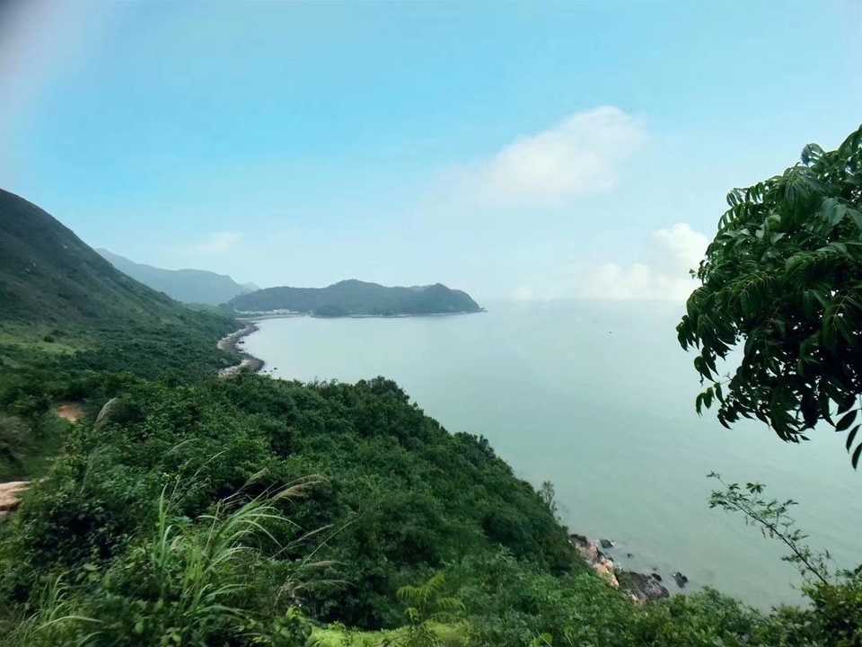 mmexport1556895266159