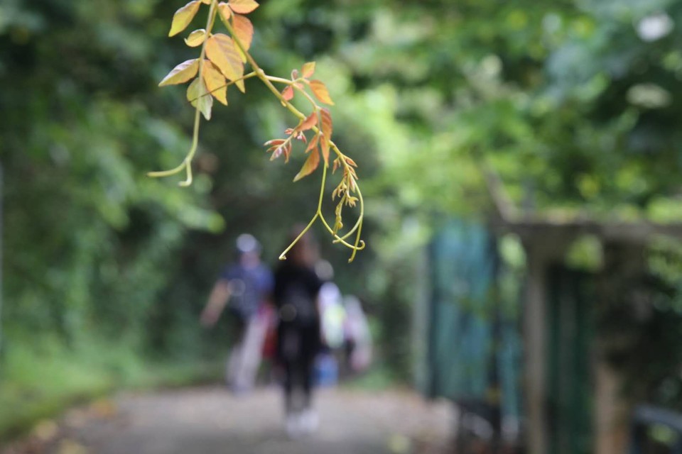 mmexport1556895483114