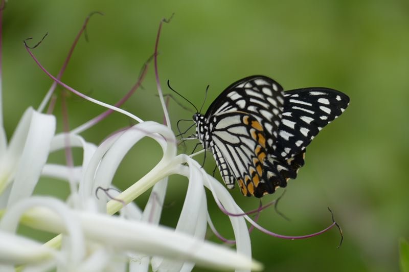 mmexport1556895491746