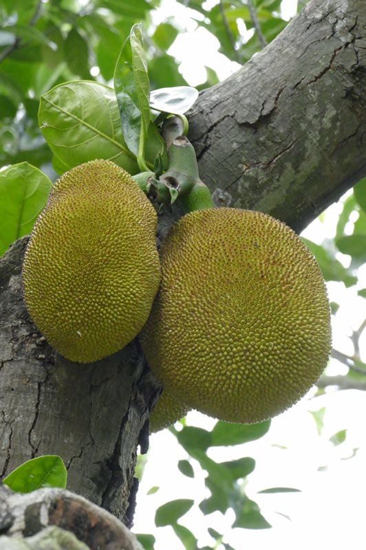 mmexport1556895500801