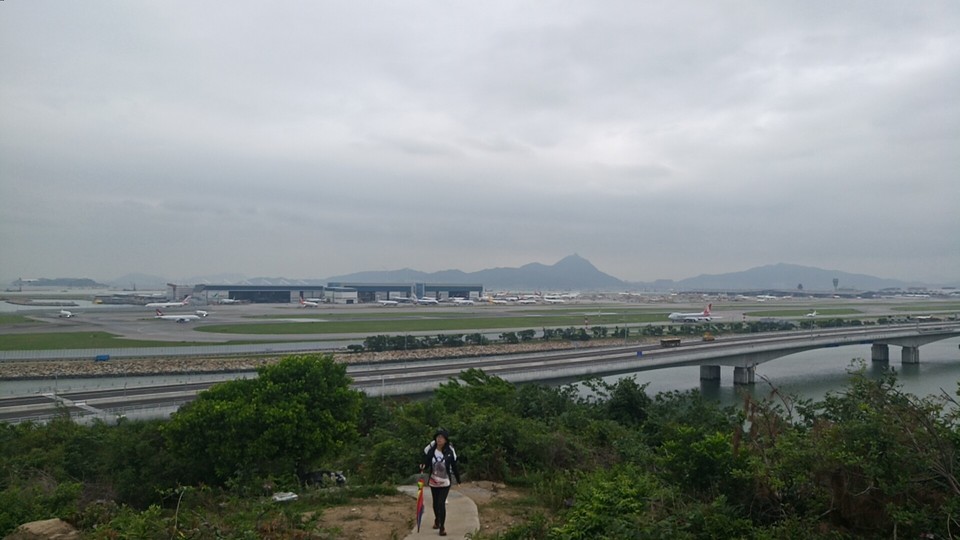 mmexport1557052419369