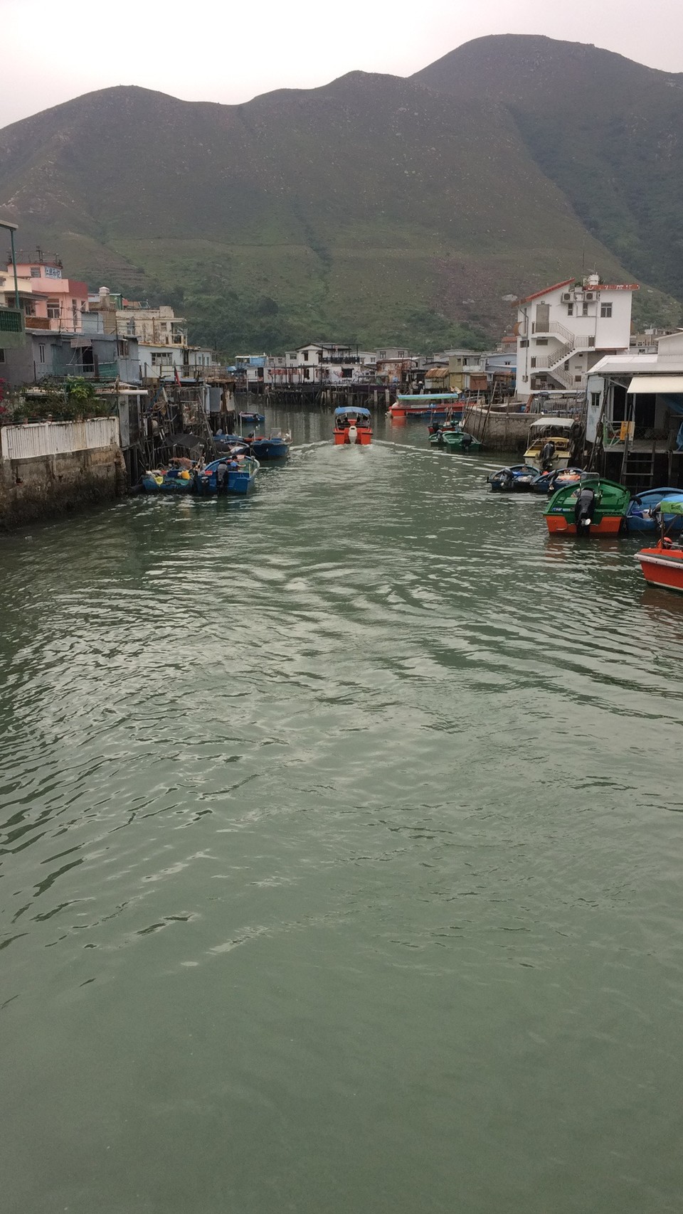 mmexport1557052471356