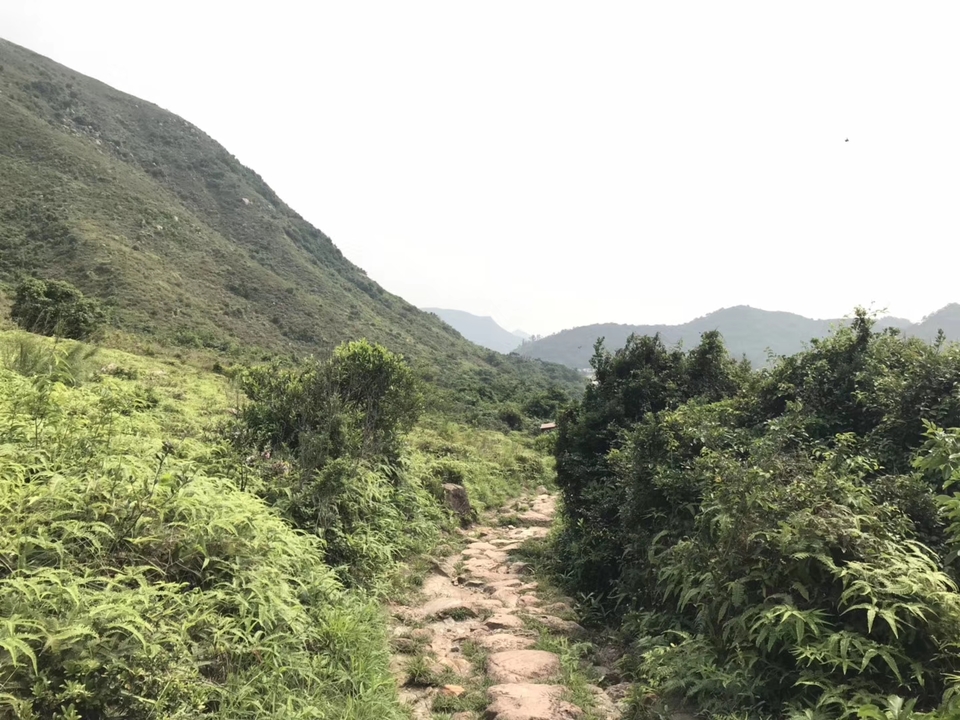 mmexport1556724198838