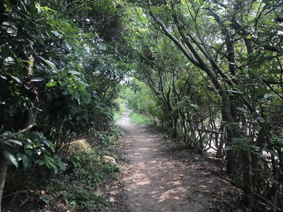 mmexport1556724201849