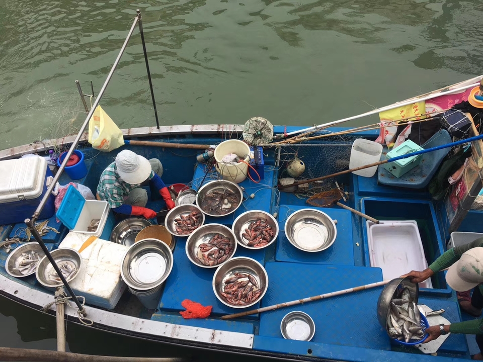 mmexport1556724230725