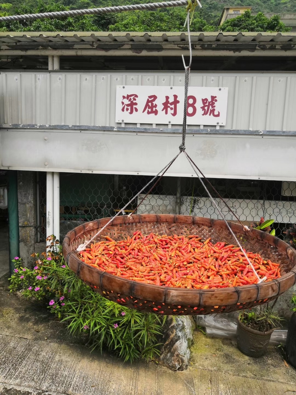 mmexport1556724398489