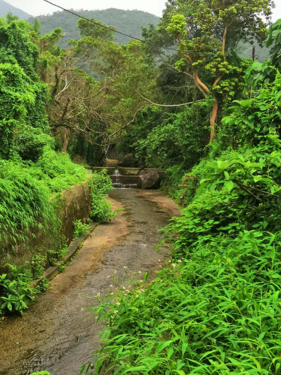 mmexport1556724405593