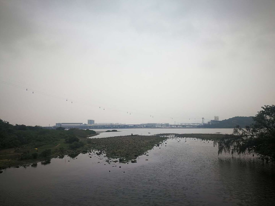 mmexport1557051646876