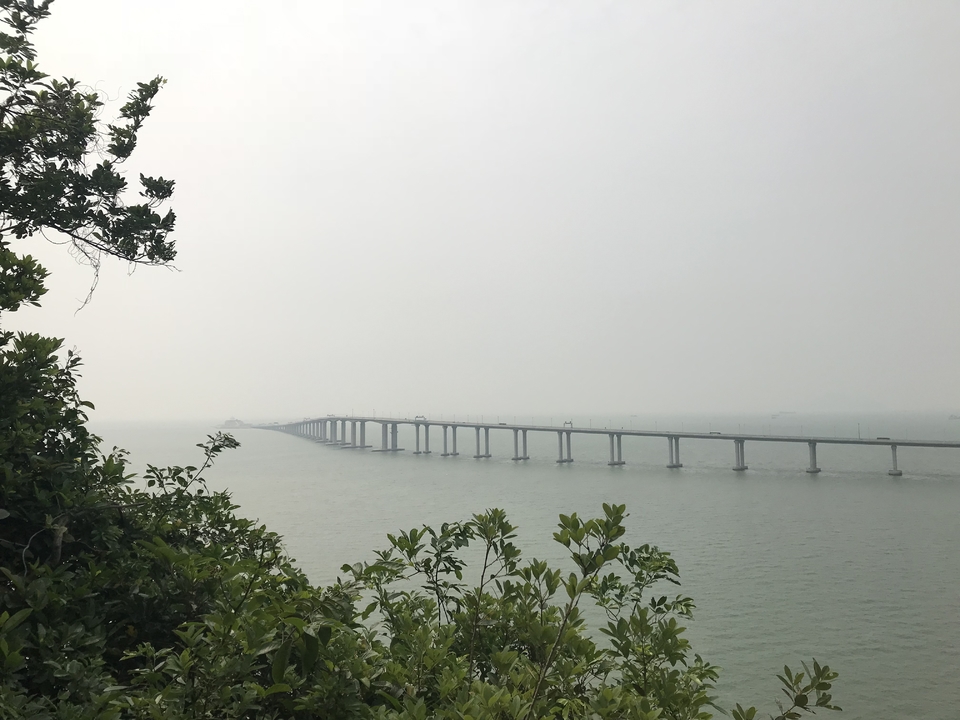 mmexport1557051662422