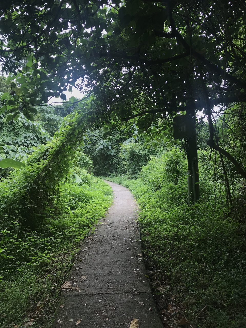 mmexport1557051670829