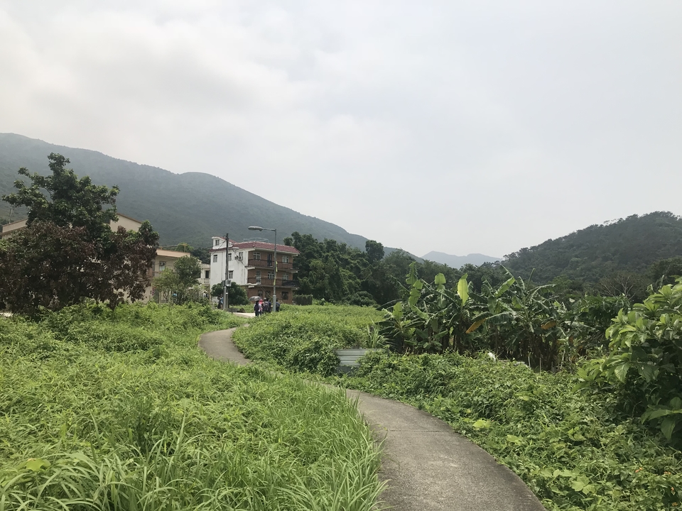 mmexport1557051675295