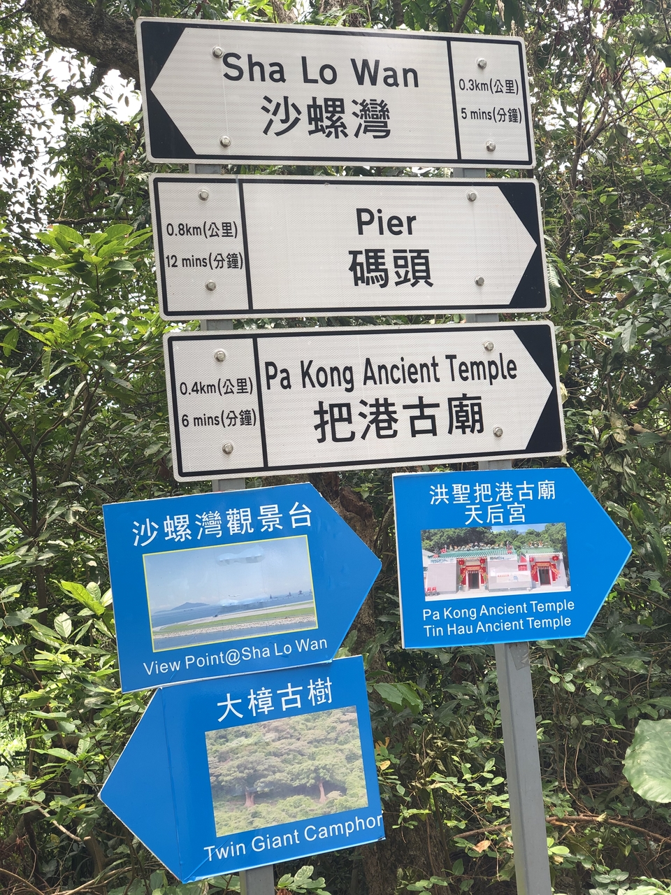 mmexport1557051680199