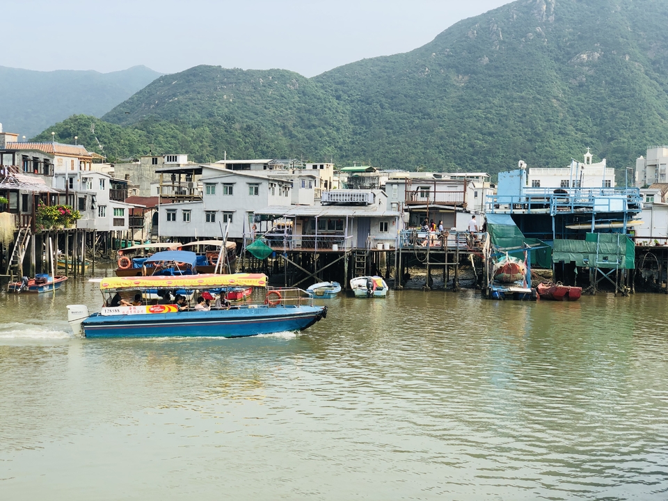 mmexport1557051708722