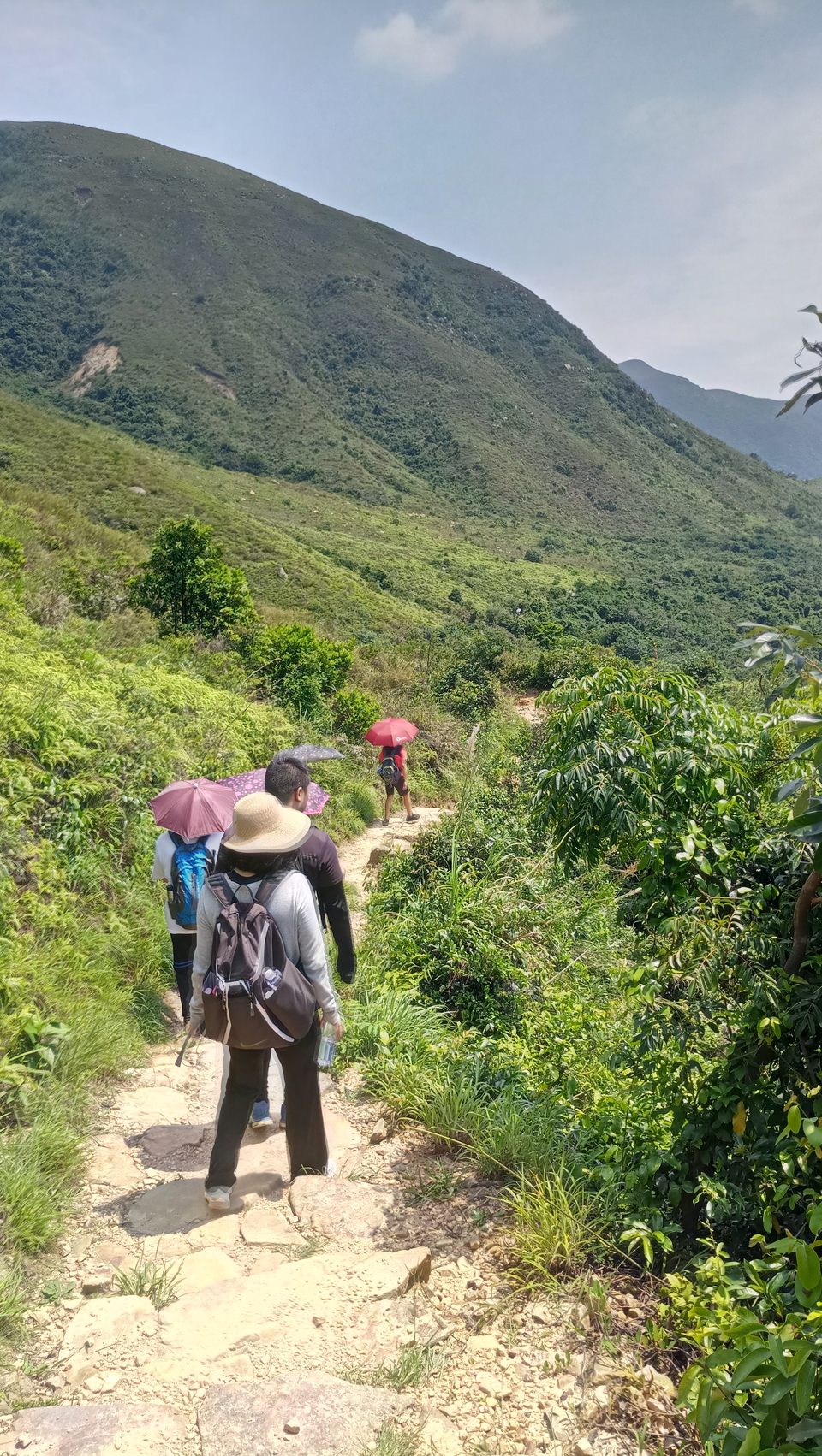 mmexport1557710732434