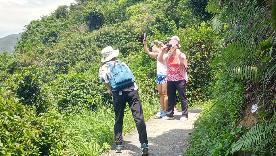 mmexport1557710775763