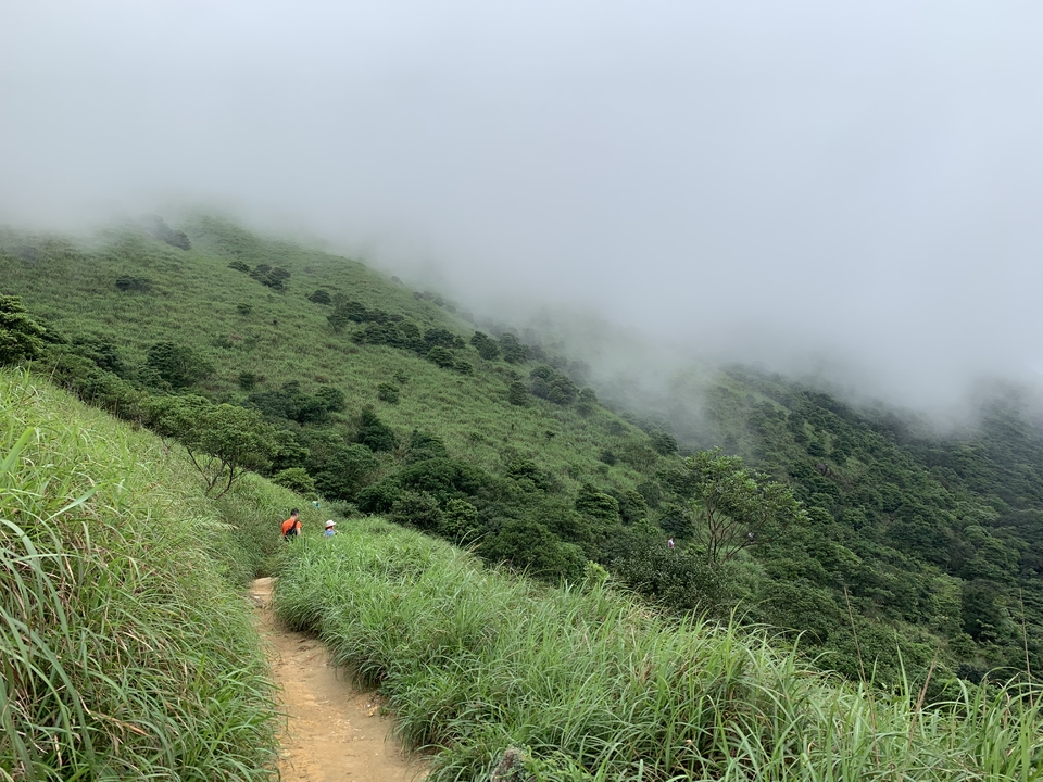 mmexport1558316909755