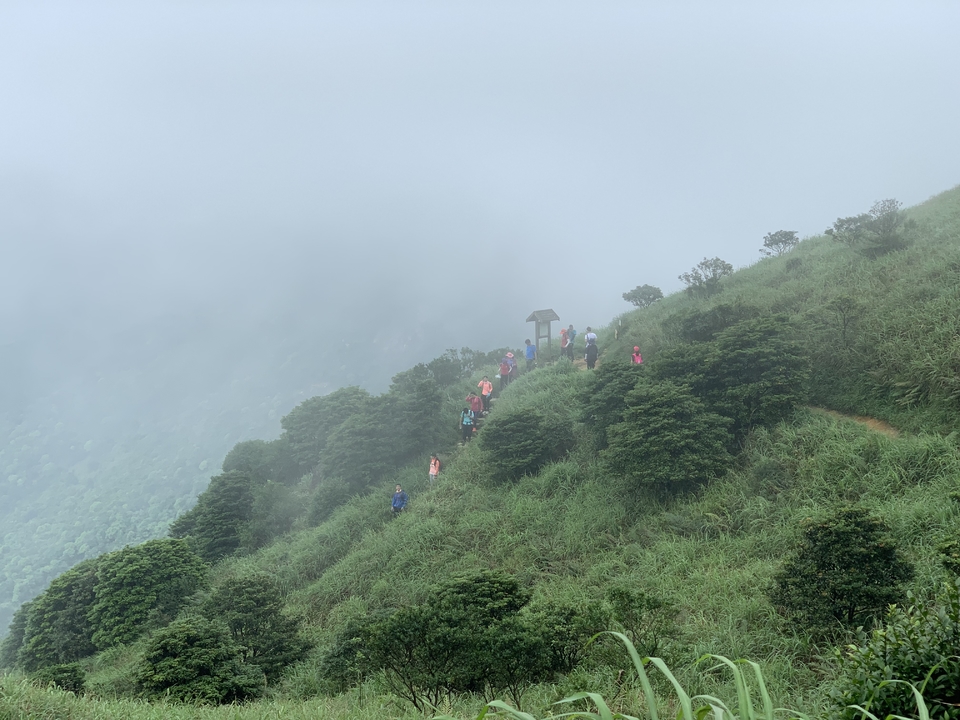 mmexport1558316919396