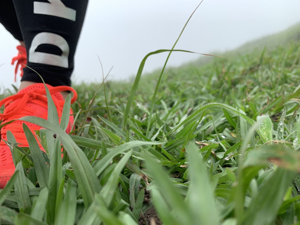 mmexport1558316931732