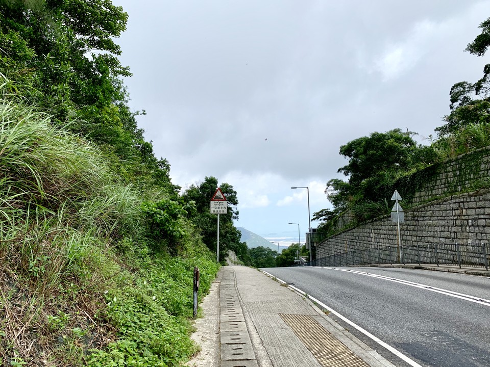 mmexport1558317010998